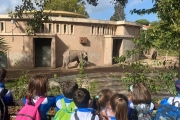 Bioparco, Roma 2025 (C2)