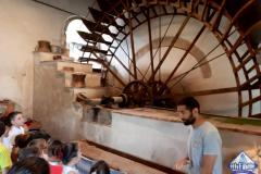 Visita al mulino di Tempera - Foto 2