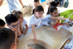 Visita al mulino di Tempera - Foto 4