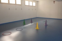 palestra-web